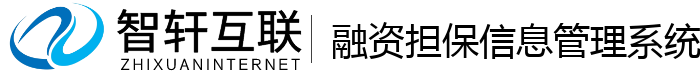 融资担保系统